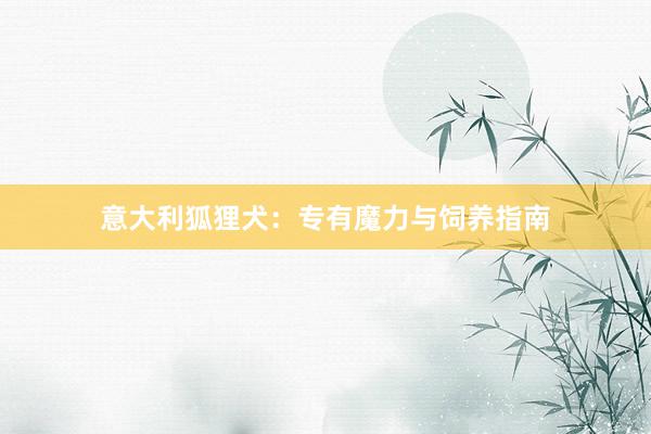 意大利狐狸犬：专有魔力与饲养指南